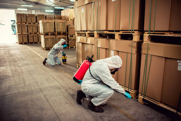 Wasp Removal Services in Sleepy Eye, MN