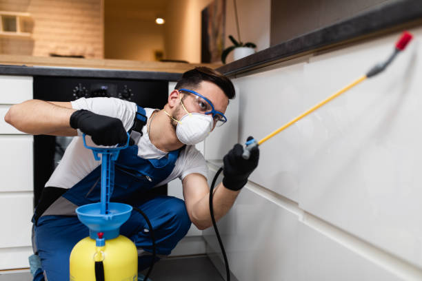 Best Rat Extermination Near Me  in Sleepy Eye, MN