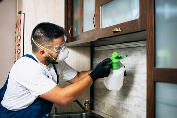Best Pest Removal Services  in Sleepy Eye, MN