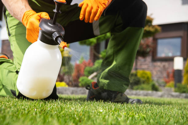 Best Termite Control Services  in Sleepy Eye, MN
