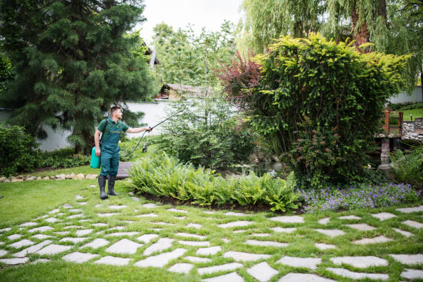 Best Pest Inspection Near Me  in Sleepy Eye, MN