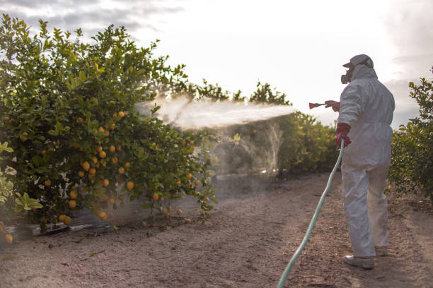 Best Mosquito Control Services  in Sleepy Eye, MN