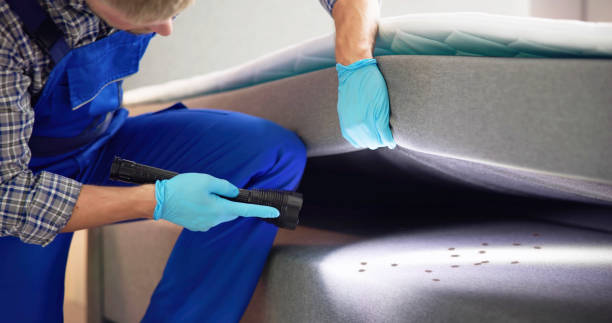 Best Local Pest Control Services  in Sleepy Eye, MN