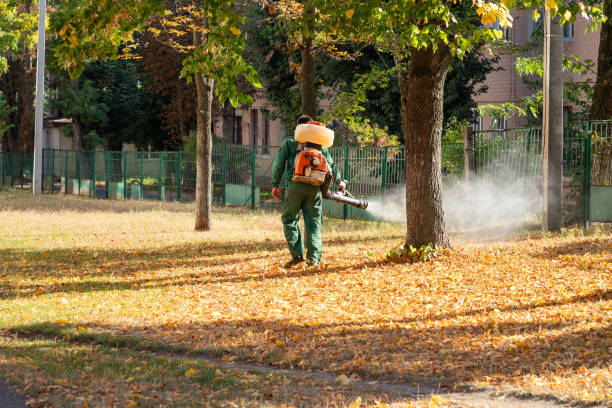 Best Flea Control Services  in Sleepy Eye, MN