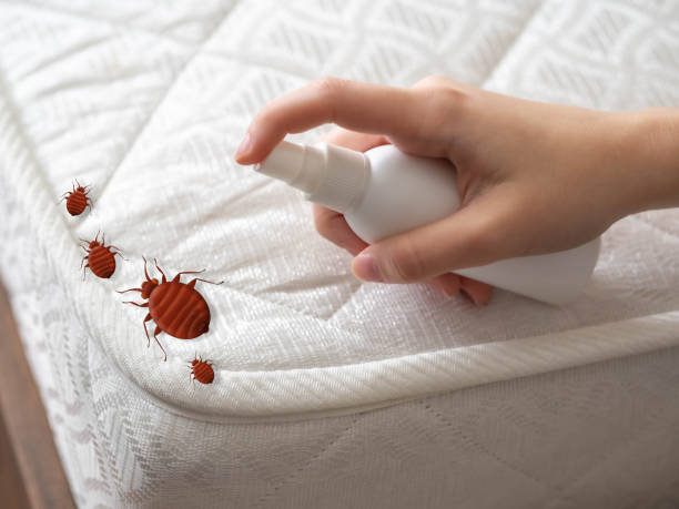 Best Pest Prevention Services  in Sleepy Eye, MN